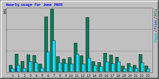 Hourly usage for June 2025