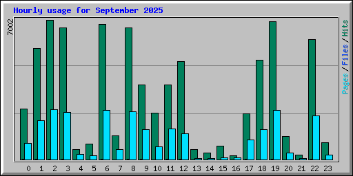 Hourly usage for September 2025