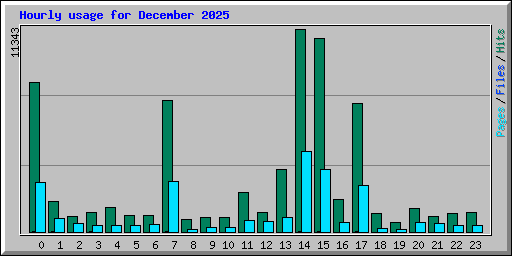 Hourly usage for December 2025